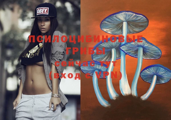 jwh Верхний Тагил